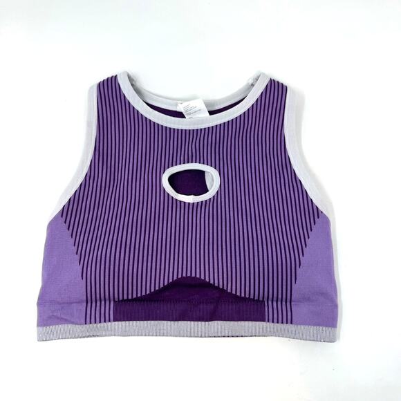 Fabletics Other - NEW Fabletics Seamless Fusion Low Impact Sports Bra S Purple Striped Activwear